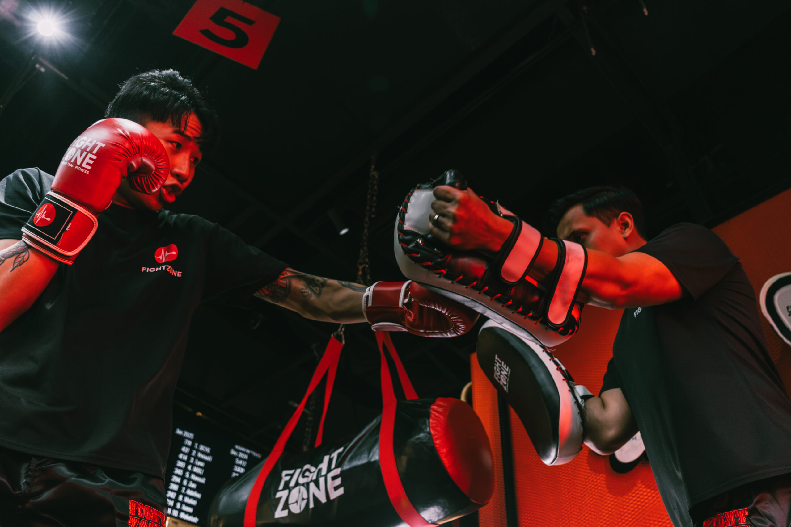Fight Zone — franchise photo